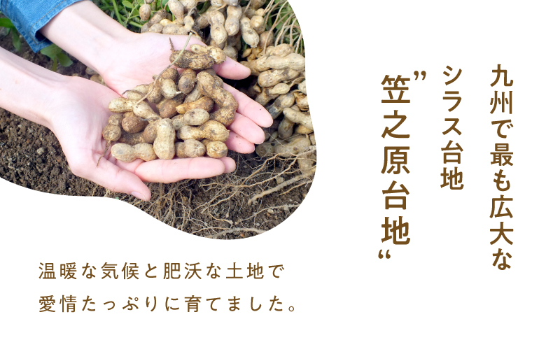 2809 から付き煎り落花生 600g（150g×4袋）　KN070-002-01