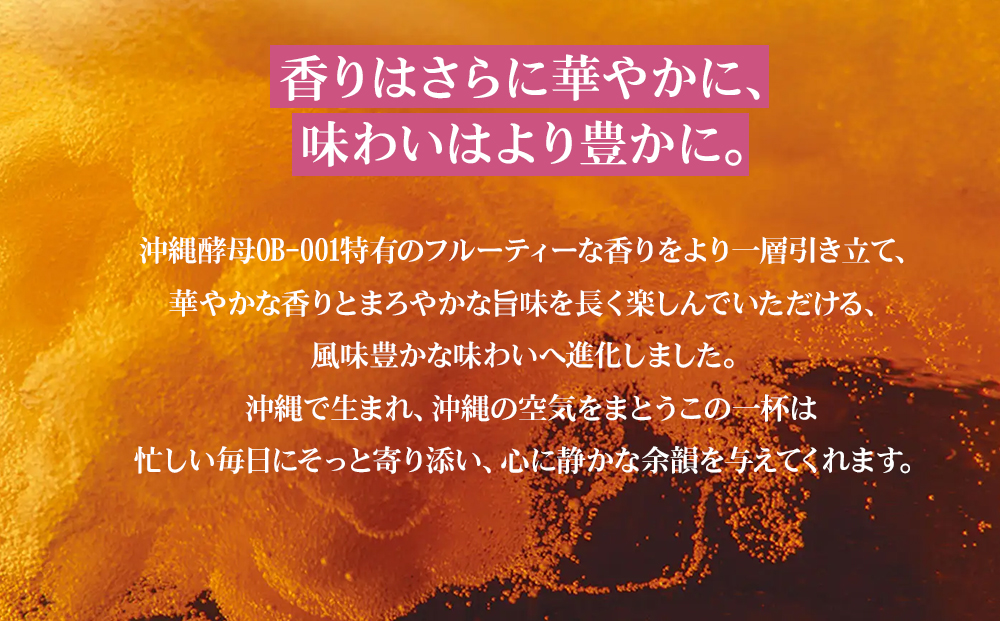 オリオンビール　オリオン ザ・プレミアム（500ml×24缶）