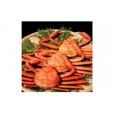 ふるさと納税 境港市 <10月上旬〜配送予定><訳あり>紅ずわい蟹 1.8kg(600g前後×3枚)