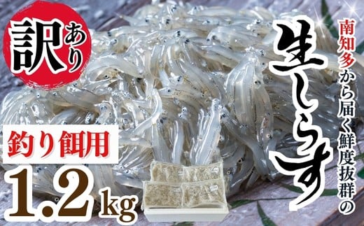 岬だよりの 生しらす釣り餌用 200g×6袋
