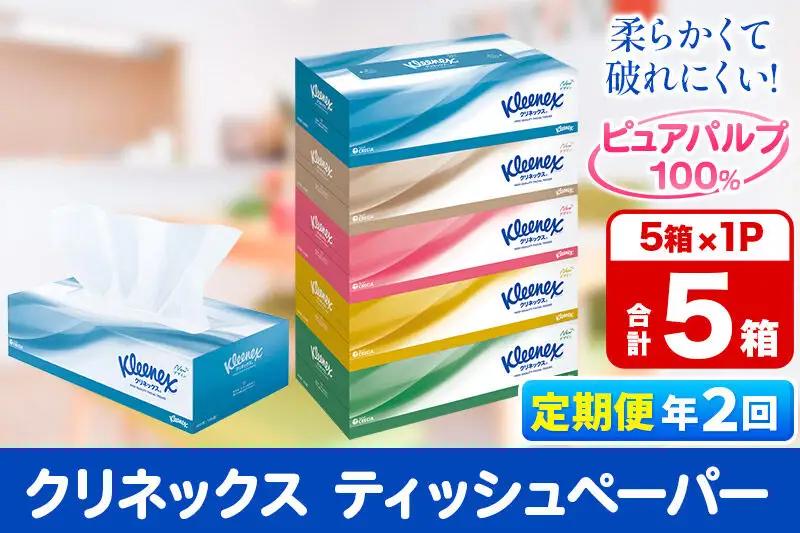 《6ヶ月ごとに2回お届け》定期便  ティッシュペーパー クリネックス ティシュー 5箱×1パック 秋田市オリジナル 最短翌日発送