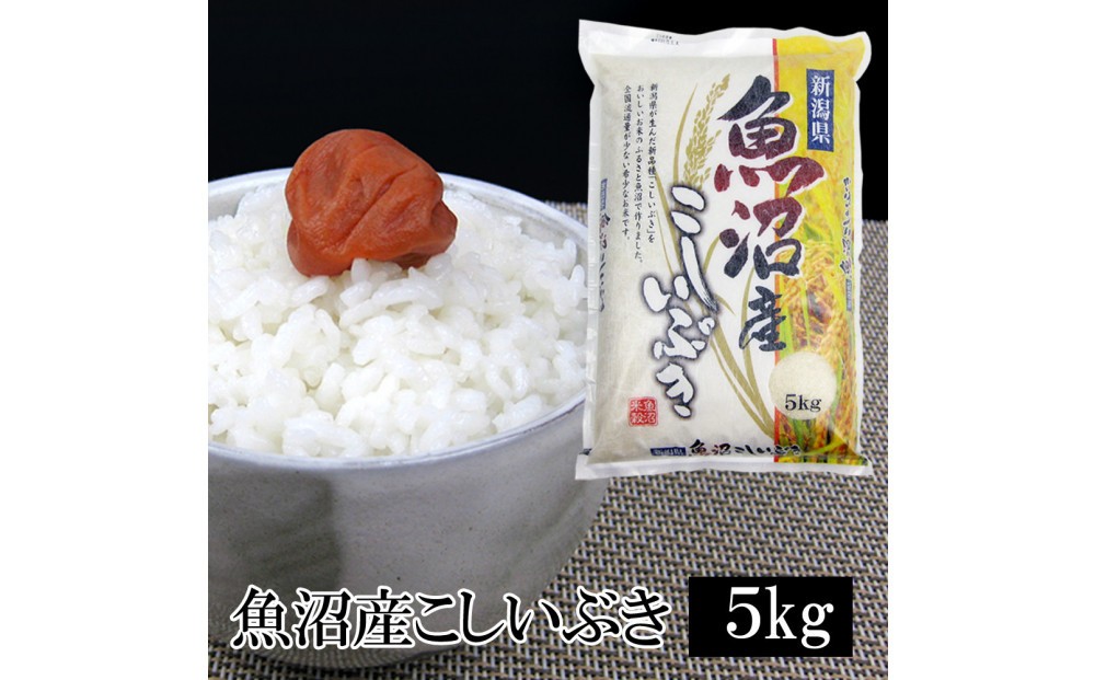 
                  お米マイスター厳選！7年産魚沼産こしいぶき　５kg
                