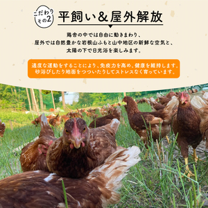 定期便 平飼い有精卵 滋賀竜王卵 20個 × 2ヵ月 ※割れ保証分各3個 ( こんもり盛り上がるプルプルな卵白 滋賀竜王卵 新鮮 平飼い 卵 純国産 鶏もみじ 大人気 たまご 鶏卵 卵黄 エッグ 希少