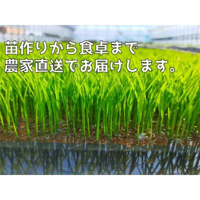 ふるさと納税 弥彦村 新県弥彦村石井農園　令和7年産コシヒカリ白米・玄米 食べ比べセット【白米5kg、玄米5kg】 |  | 03