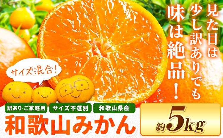 和歌山県産 訳あり みかん (3S～3L) 約5kg《11月上旬-12月末頃出荷》和歌山県 日高川町 果物 フルーツ 訳ありみかん 家庭用