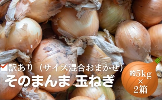 訳あり（サイズ混合おまかせ）そのまんま 玉ねぎ（約5kg×2箱）計約10kg たまねぎ 野菜