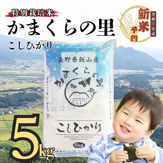 【先行予約】<令和７年産> 特別栽培米 「かまくらの里コシヒカリ」 精米 5ｋｇ (7-1A)