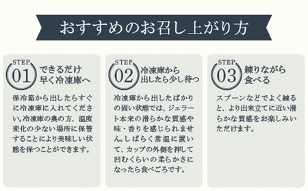 COZAB GELATO 訳あり 大容量 ひとりじめサイズ 2個セット アイスクリーム アイス ジェラート 山形県 山形市 FY25-276