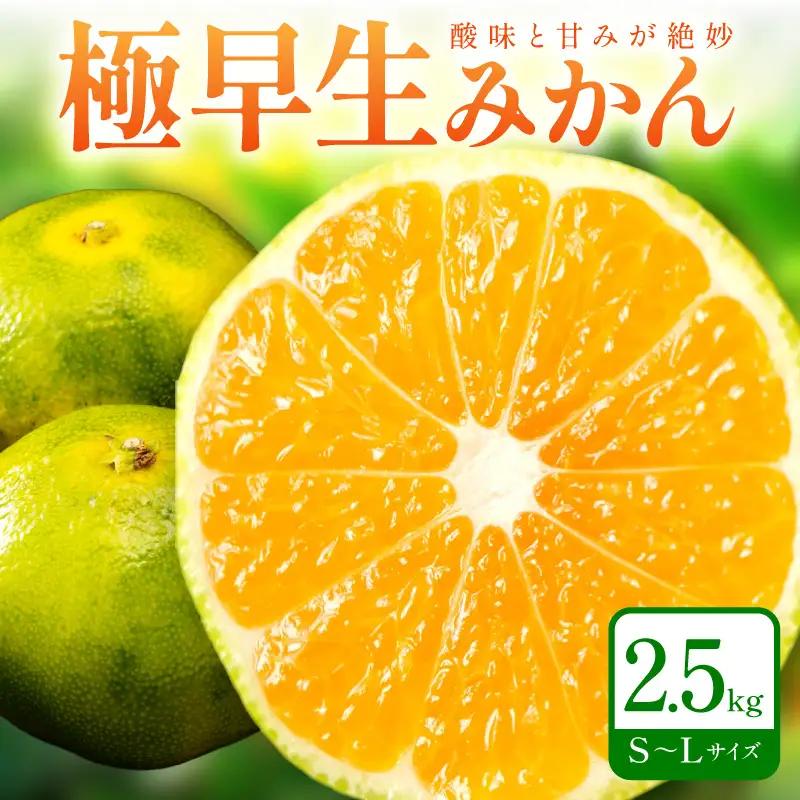 【1212】極早生みかん 2.5kg 和歌山産 甘酸っぱいみかん
