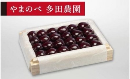 《2026年先行予約》【特選サミット】桐箱詰 約300g【やまのべ多田耕太郎のさくらんぼ 多田農園】期間限定 数量限定 F4A-0043