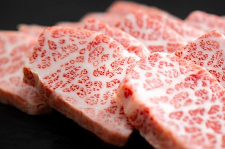 【飛騨牛 メス牛】 最高A5等級 カルビ 焼肉用 500g