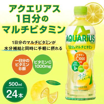 ふるさと納税 えびの市 アクエリアス 1日分のマルチビタミン PET 500ml×24本 1ケース(えびの市)