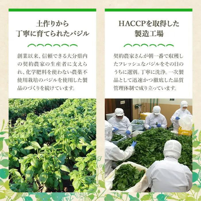 ファインド・ニューズ＜バジル&マスタード＞スペシャルセレクトセット(合計240g・4種)調味料 ソース バジル マスタード バーニャカウダ セット【109300100】【ファインド・ニューズ】