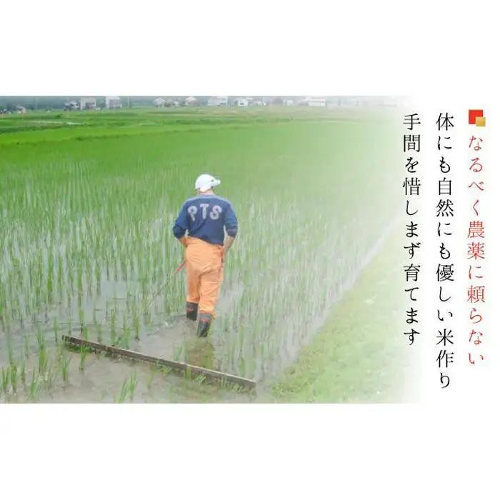 【令和８年新米予約】南魚沼産コシヒカリ 白米１０ｋｇ【５割減農薬栽培米】城内農産｜こしひかり【2026年9月下旬から1ヶ月以内に順次発送予定】