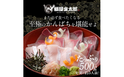 宮崎産 新海屋 鰤屋金太郎 宮崎ゴールドカンパチ 500g　冷凍　N018-ZA463_2