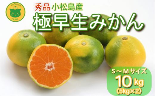 【2025年9月20日以降発送】 みかん 秀品 極早生みかん 10kg 蜜柑 ミカン 柑橘 旬 フルーツ 果実 ジュース 小松島市 甘い ジューシー デザート 産地直送