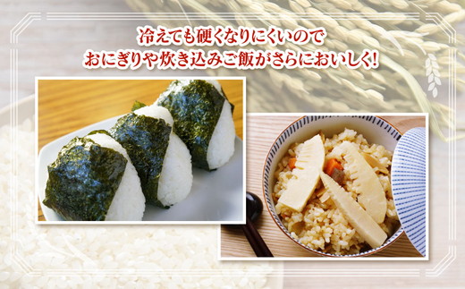 【令和7年度米】【農家直送】環境配慮「魚津のミルキークイーン（晃米）」5kg（白米） ｜新米 MK農産 白米 銘柄米 ブランド米 ご飯 おにぎり お弁当 和食 主食 国産 産地直送 甘み 香り もちも