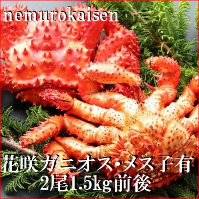 ふるさと納税 根室市 【北海道根室産】花咲ガニ(オス・メス)各1尾(計1.5kg前後) D-57041