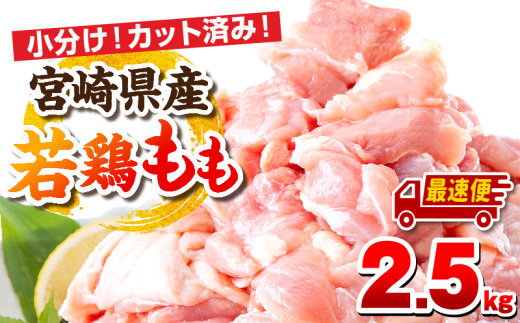 【最速便】宮崎県産若鶏 もも肉 2.5kg（250g×10パック）_M146-008_01-2W