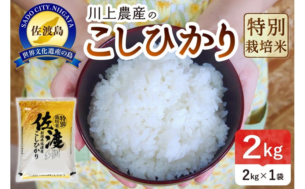 
            令和7年産 佐渡 川上農産のコシヒカリ（2kg）
          