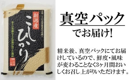 【先行予約・令和7年産新米】真空パック 特別栽培米 コシヒカリ 無洗米 6kg（3kg×2袋） 山波農場のお米 新潟県産 [Y0061]
