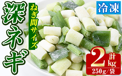冷凍深ネギ(ねぎ間サイズ：計2kg・250g/袋) 野菜 冷凍 冷凍野菜 小分け ねぎ ネギ 深ネギ 小口切り 斜め切り ねぎま 簡単 手軽 小分け 【合同会社グッドフィールド】akn056-14