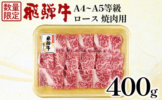 【5営業日以内発送】《数量限定》飛騨牛 ロース 焼肉用 400g A5 A4 国産 牛 冷凍 和牛 牛肉 ロース肉 焼き肉 やきにく 霜降り ギフト 贈答 おすすめ BBQ バーベキュー キャンプ にく お肉 肉 肉のひぐち