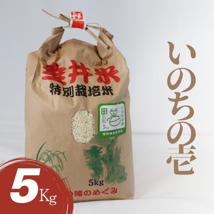 【ふるさと納税】≪令和7年産≫【特別栽培米】垂井町産 いのちの壱 5kg ｜ お米 米 こめ コメ 白米 精米 ご飯 ライス 産地直送 ギフト 贈答用 プレゼント 岐阜県産