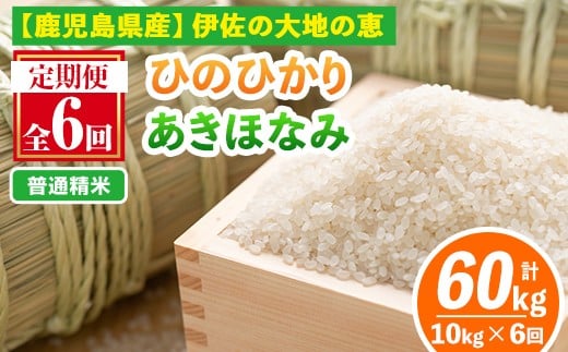 isa518-A 【定期便6回】 ＜普通精米＞選べる精米方法！令和7年産 鹿児島県伊佐南浦産 ひのひかり5kg・あきほなみ5kg (合計60kg・計10kg×6ヵ月) 国産 白米 精米 伊佐米 お米 米 生産者 ひのひかり あきほなみ 定期便 【Farm-K】