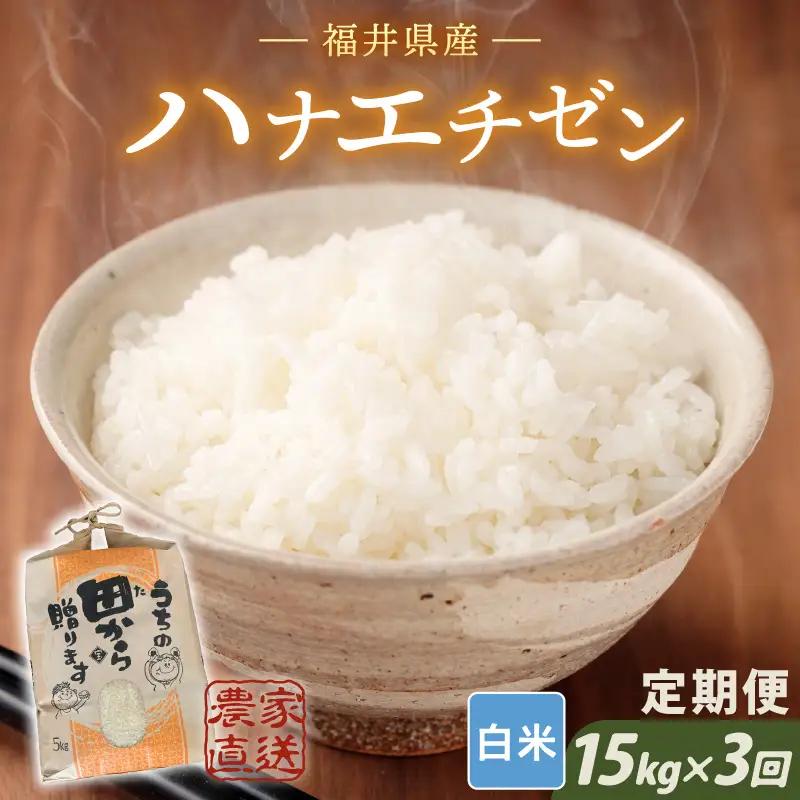 【令和8年産・新米】定期便 ≪3ヶ月連続お届け≫ ハナエチゼン15kg×3回 計45kg ～本原農園からまごころコメて～（白米）[H-8909_01]