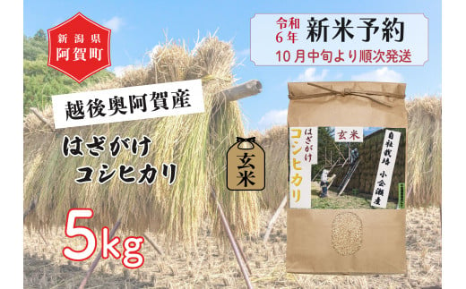 《令和6年産米》越後奥阿賀産はざがけ（天日干し）コシヒカリ　玄米5kg（1袋）