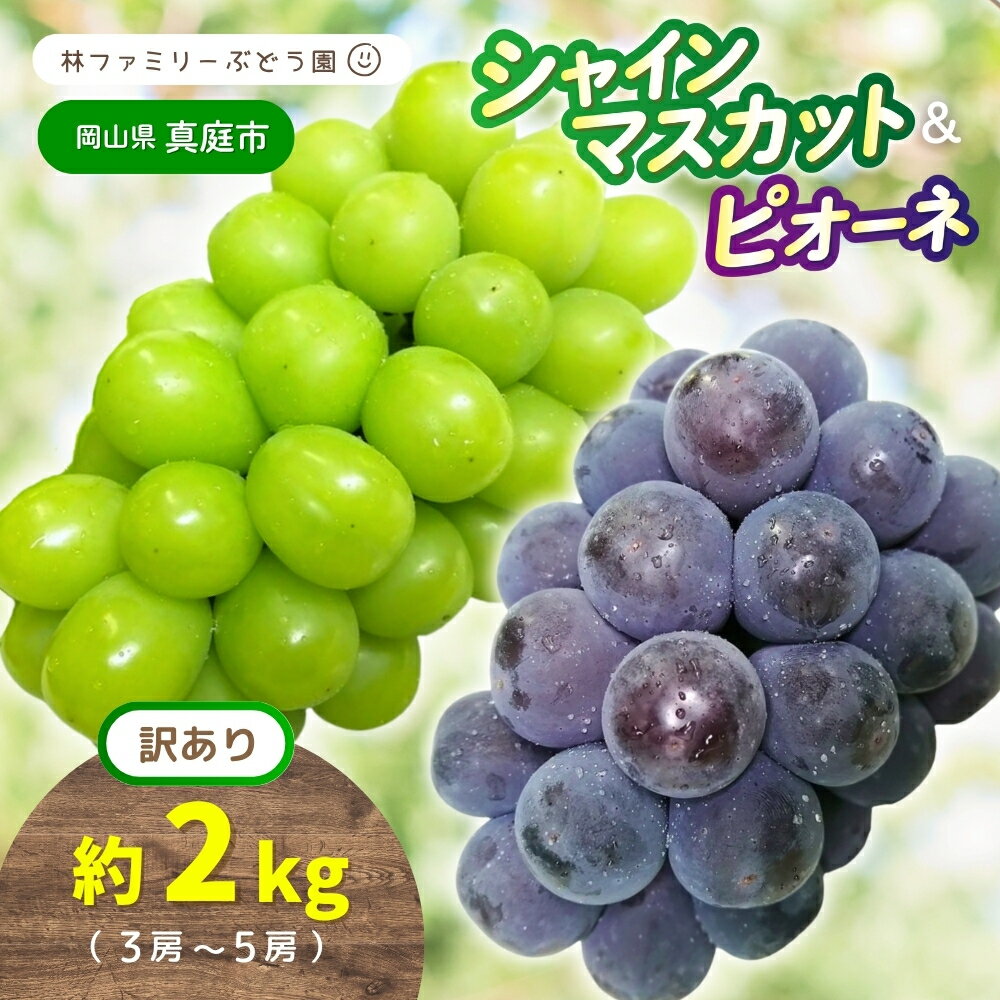 【ふるさと納税】 【 訳あり 】岡山県産 林ファミリー の シャインマスカット & ピオーネ 約2kg（約3～5房） 【2025年 先行予約 】 / ぶどう 葡萄 詰め合わせ フルーツ 食べ比べ 家庭用 お試し 岡山 真庭市