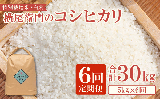 C-1107 【定期便】横尾衛門のコシヒカリ 白米 5kg×6回コース
