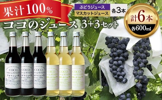 
                  ココのジュース3＋3セット【 ジュース 栃木県 足利市 】 F7Z-1918
                