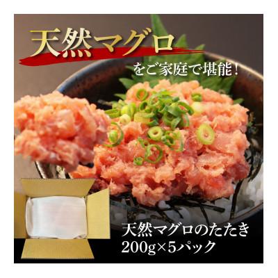 ふるさと納税 芸西村 天然マグロのタタキ丼セット (200g×5パック)【KGP075】 |  | 03