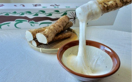 後藤農園の自然薯 ２本約1.5kg箱入り（700g〜800g×2本）