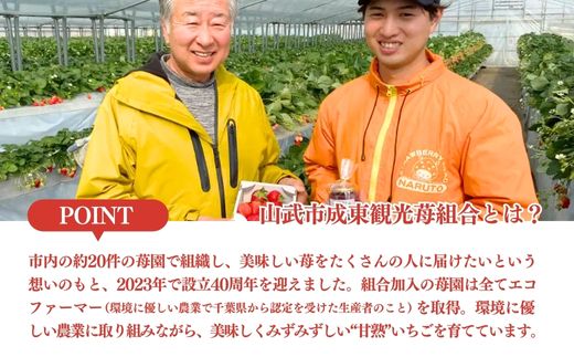 【先行予約】【12月中旬から発送】山武市産 甘熟いちご 800g以上 おすすめの品種をお届け SMB001