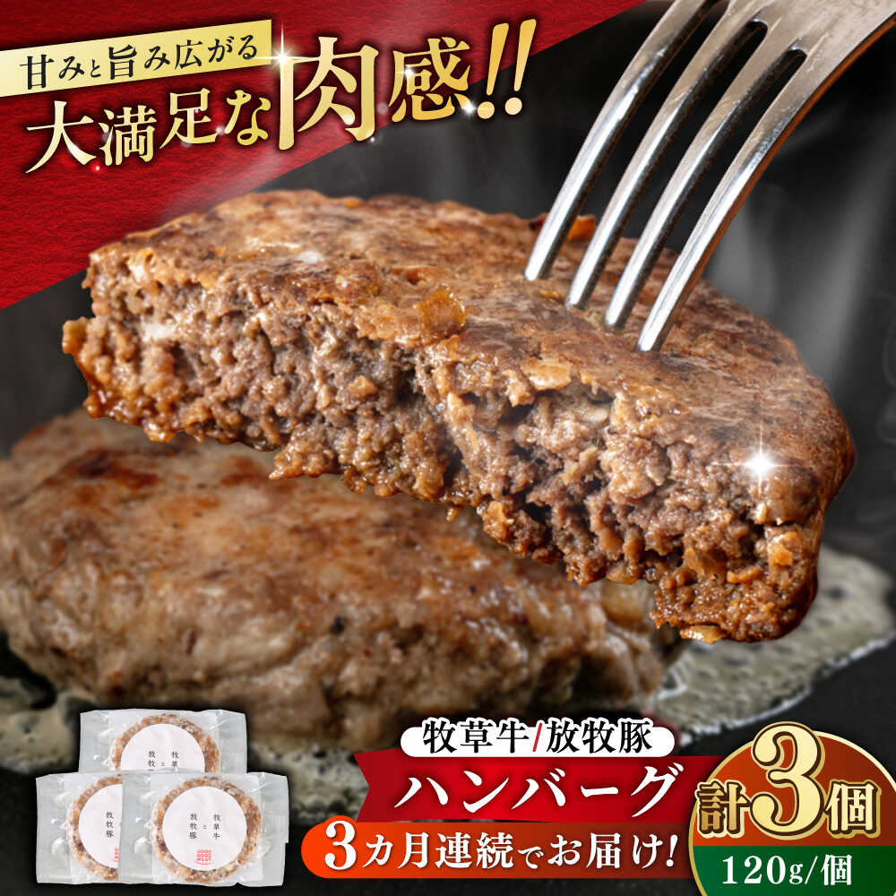 【ふるさと納税】【全3回定期便】　【牧草牛×放牧豚】ハンバーグ 3個 《厚真町》【GOODGOOD株式会社】 ハンバーグ 牛肉 豚肉 小分け 冷凍配送 北海道[AXBP023]