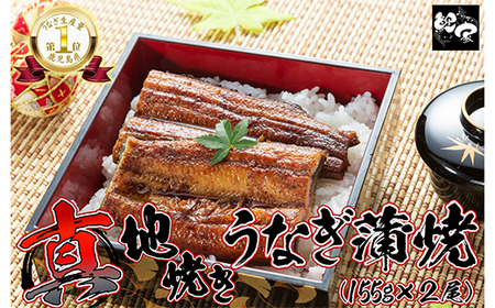 大人気！鯉家の絶品蒲焼「真地(マジ)焼きうなぎ蒲焼310g(2尾)」【国産・手焼き備長炭】 1710-2