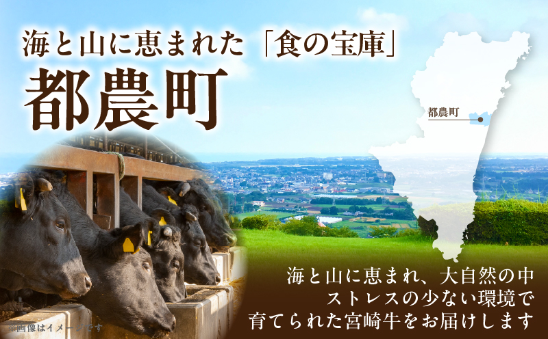 宮崎牛ローススライス(計400g) 肉 牛 牛肉 国産_T050-0051