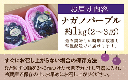 【先行予約】【種なし】【朝採れ】【秀品】上野梨園のナガノパープル 約1kg 農園直送【上野の葡萄】 / ぶどう フルーツ 果物 くだもの 贈答 お土産 種なし 旬 皮ごと食べる ポリフェノール 美容 