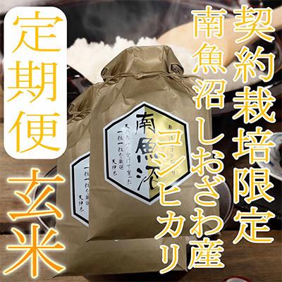 ふるさと納税 南魚沼市 【発送月固定定期便】【玄米10Kg】生産者限定 南魚沼しおざわ産コシヒカリ全6回