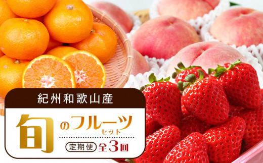
                  【2・7・12月 全3回】紀州和歌山産旬のフルーツセット（いちご・桃・有田みかん）定期便 【魚鶴商店】【UT70】
                