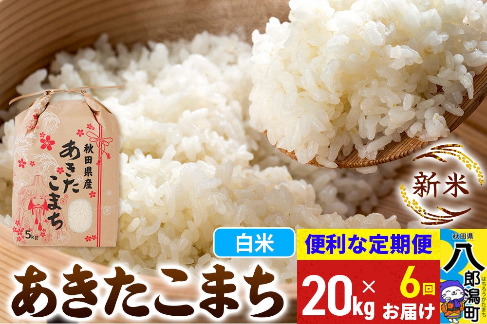 《新米》《定期便6ヶ月》あきたこまち 20kg【白米】 令和8年産 秋田県産 こまちライン [新米 こまちライン あきたこまち ブランド米 お米 白米 精米 無洗米 米どころ 秋田 秋田県産]