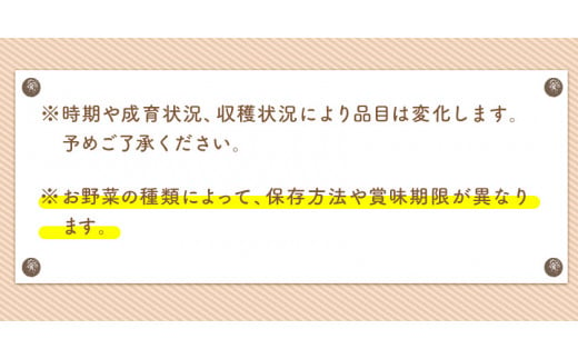 旬の新鮮野菜・果物詰合せセット たっぷり8-12品目 《30日以内に出荷予定(土日祝除く)》 熊本県氷川町産 道の駅竜北---sh_cmitiysi_30d_23_18000_8p---