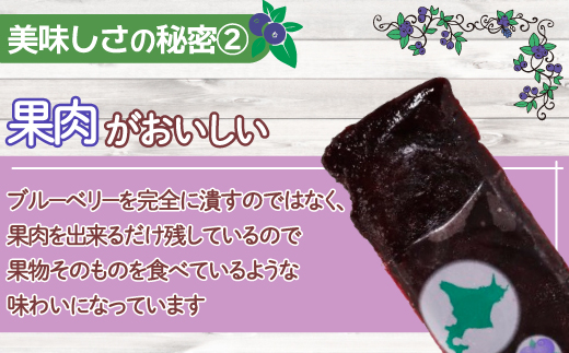 北海道 豊浦町 ブルーベリーシャーベット 10本 【 ふるさと納税 人気 おすすめ ランキング 果物 メロン めろん 果物 ブルーベリー 国産ブルーベリー ブルーベリーシャーベット 大容量 おいしい 