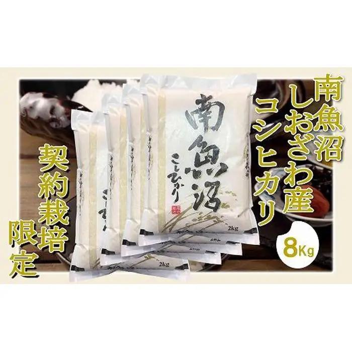 【令和7年産】【精米8Kg】契約栽培限定 南魚沼しおざわ産コシヒカリ【銘柄米 ブランド米 精米 こしひかり コシヒカリ 魚沼産 新潟米 産地直送 お米 米 こめ コメ ご飯 御飯 ごはん】