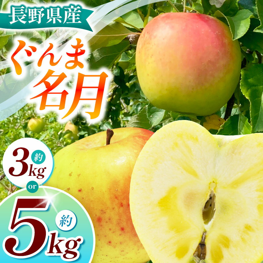 【ふるさと納税】【2025年先行予約】浅野農園 ぐんま名月 3kg ・ 5kg｜ リンゴ りんご 林檎 果物 くだもの フルーツ 果実 果汁 ぐんま名月 長野県 松川村 信州