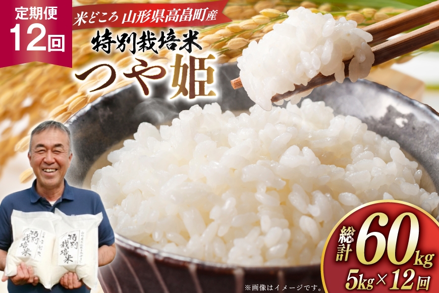 
                  米 定期便 12回 令和8年産 特別栽培米 つや姫 5kg 12回 計60kg [渡部ファーム 山形県 高畠町 tk06ays810063] ふるさと納税 お米 おこめ こめ コメ 白米 精米 ごはん ご飯 ブランド米
                