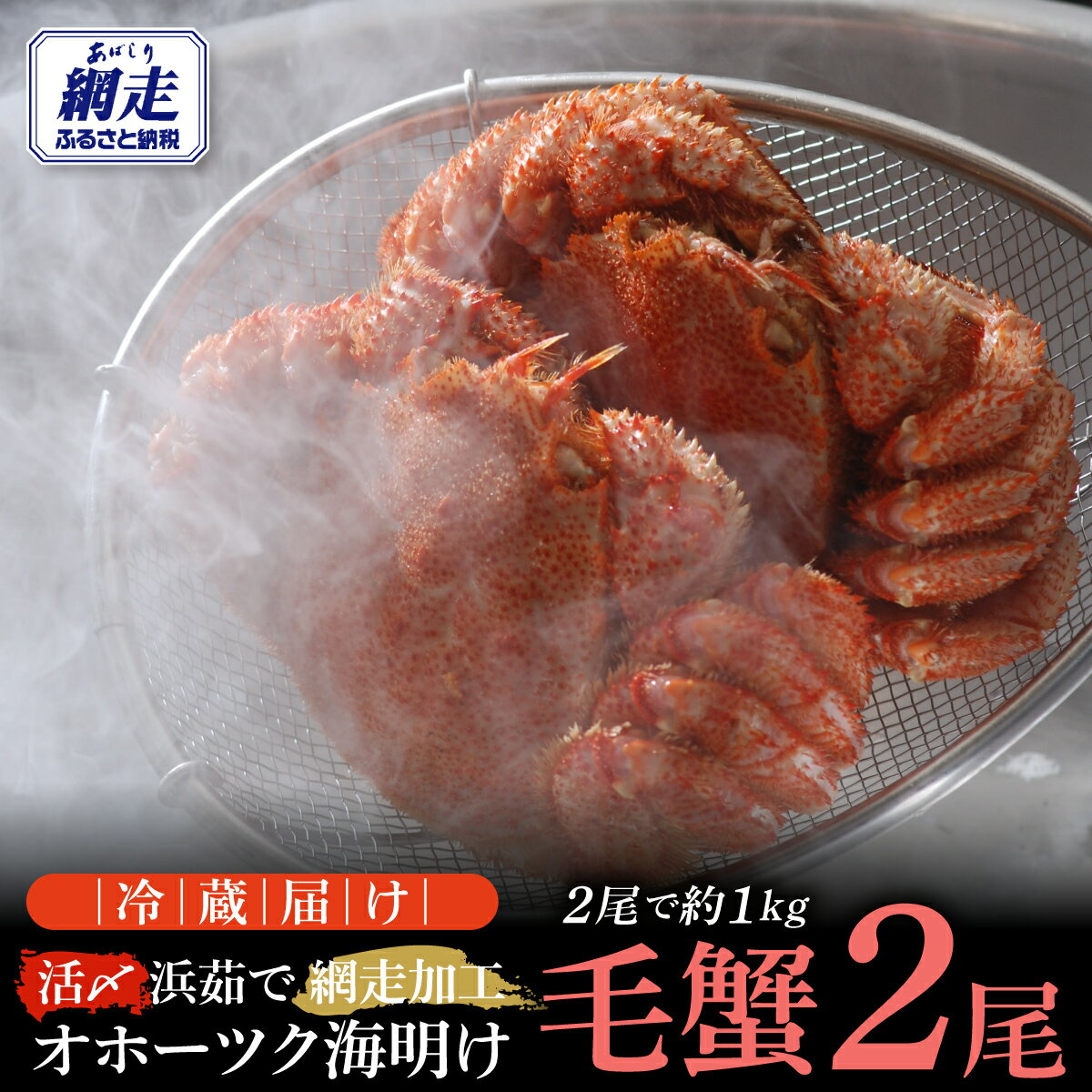 【ふるさと納税】【先行予約】オホーツク海明け活〆浜茹で毛蟹2尾冷蔵届け（オホーツク海産・網走加工）（2026年4月15日以降発送）【 ふるさと納税 人気 おすすめ ランキング 毛がに 毛蟹 ガニ 蟹 海鮮 かに味噌 冷蔵 1kg オホーツク 北海道 網走市 送料無料 】 ABAO2180